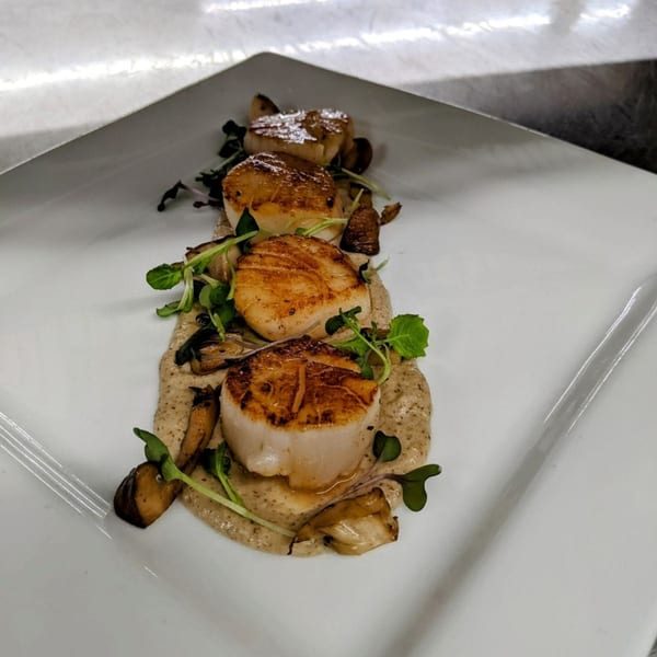 Seared scallops with mushrooms and microgreens on a creamy sauce, served on a white rectangular plate.